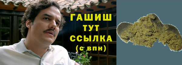 гидра Армянск