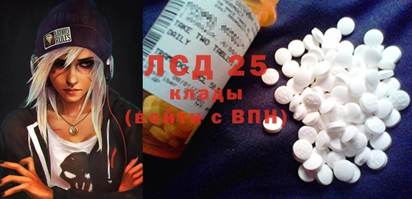 твердый Арсеньев