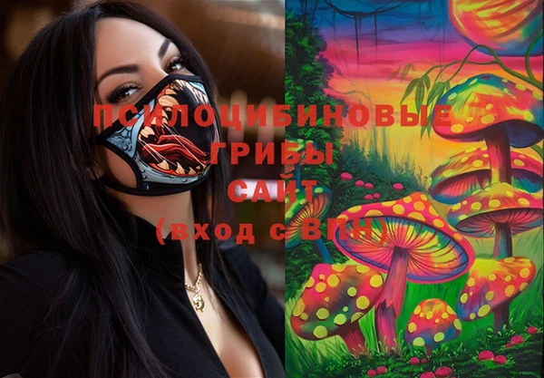 гидра Армянск
